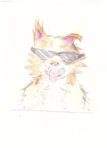 elvis